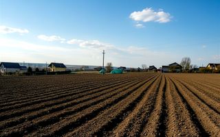 Teren 991 MP | Moara Carp | 22 ml Deschidere | Utilități | 38.000 € - Poză 3