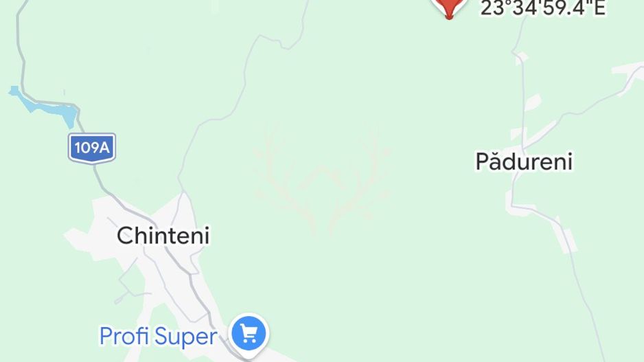 Teren intravilan de vanzare | 2.900 mp | Macicasu, com. Chinteni | La - Poză 1