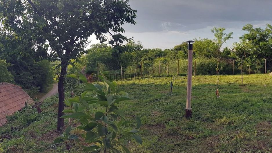 SAPIENT/TEREN INTRAVILAN 600 MP CU ANEXE ȘI PIVNITE - EPISCOPIA - Poză 10