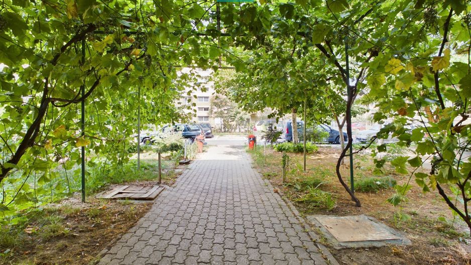 Garsonieră minimalistă în Vlaicu - Poză 3