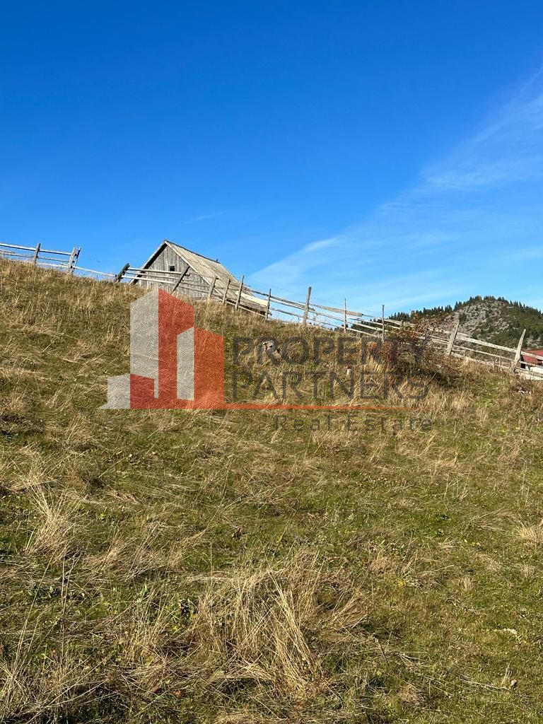 Teren Fundatica intravilan 4500 mp - Poză 10