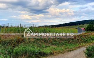 Teren intravilan 25 ari la iesire din Livezeni spre Ivanesti 48 eu /mp - Poză 4