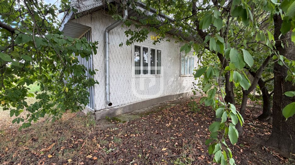 Casa + 1.600 MP teren Intravilan – Băișești | Aproape de Școală - Poză 14