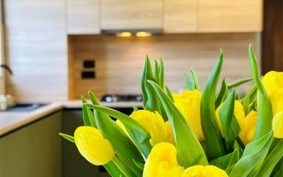 Oferta Inchiriata - Casa Segmentul Premium, 180 mp | Garaj&Gradina | Fropin - Poză 3