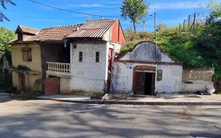 SAPIENT/TEREN INTRAVILAN 600 MP CU ANEXE ȘI PIVNITE - EPISCOPIA - Poză 3