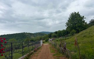 Casa 3 camere | 2 bai | anexe | Zona Rasinari 100 MP utili| - Poză 4
