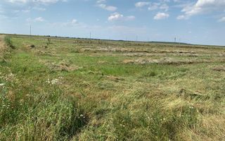 Teren pentru investitii rezidentiale, Moara Vlasiei, Caciulati, A3 - Poză 1