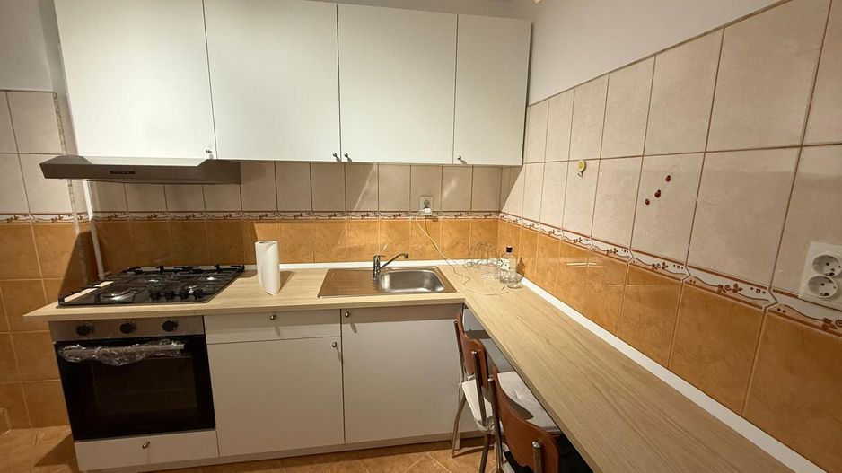 AP. 3 CAMERE BASARAB, PET-FRIENDLY, RENOVAT, REABILITAT, BOILER - Poză 7