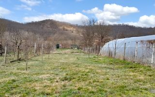 Casă 3 camere I Curte 814mp I Pivniță I Garaj I Axente Sever - Poză 18