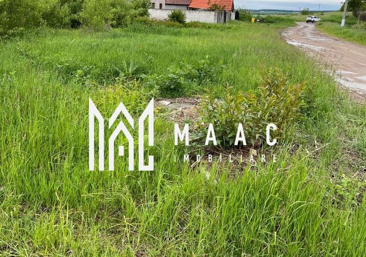 Teren de vanzare | 4.300 Mp | Cristian - Poză 4