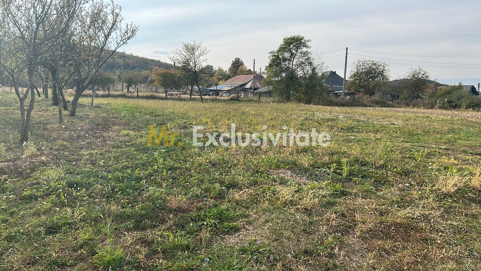 Teren intravilan – 1.135 mp, sat Crampotani, com. Merisani - Poză 3