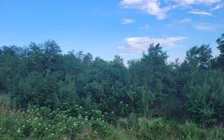 Teren intravilan 2404 mp, pentru constructie casa vacanta. - Poză 1