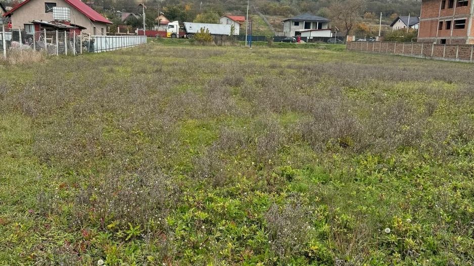 Teren 2.300 mp, cu acces la DN 15D, zona Ciusmeaua Moldovencei - Poză 4