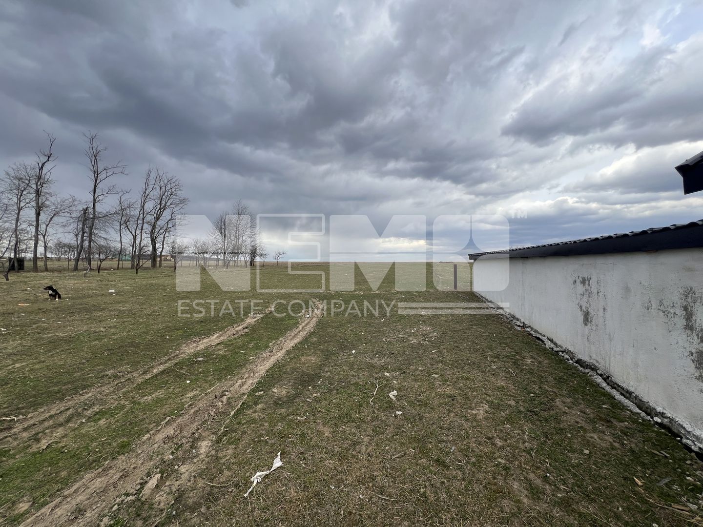 Casa cu 45 de Ari | Salageni | 129.000 Euro - Poză 4