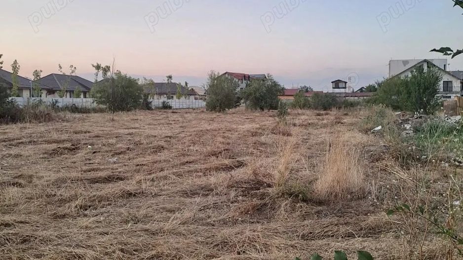 De vanzare teren intravilan 4685 mp, Cornetu-aproape de A0 - Poză 2