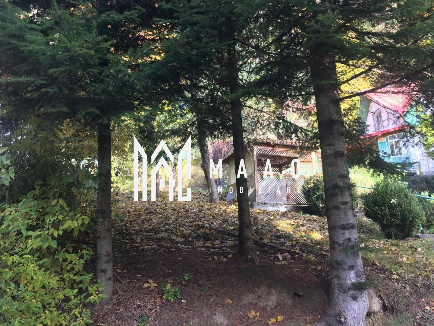 Oferta de top I Casa si Teren in Sinaia - Poză 6