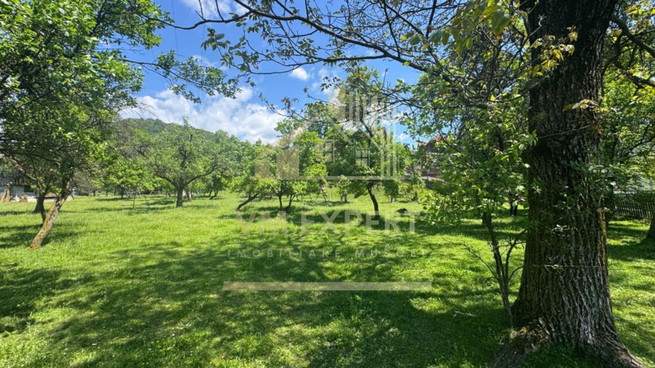 TEREN INTRAVILAN 3477 MP STOENEȘTI BĂDENI ARGEȘ - Poză 25