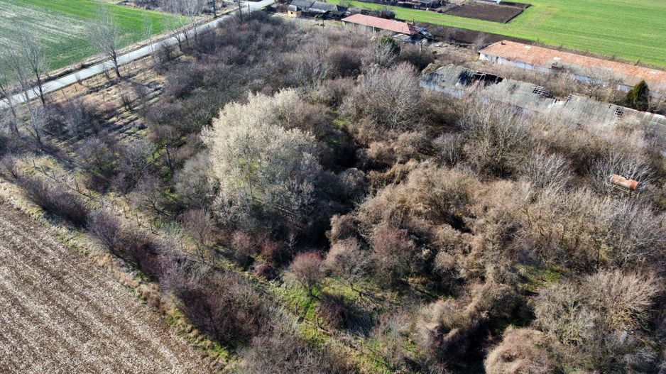 Ferma si livada de meri in judetul Ilfov - Poză 5