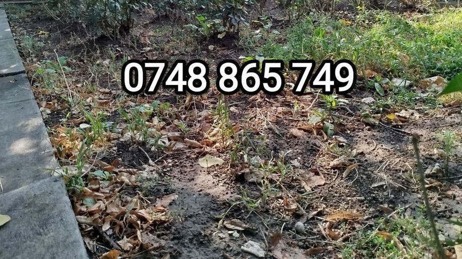 OPORTUNITATE ! Casa 3 C 100 m  + teren 350 m , P de Piatra_Palas Campus - Poză 1
