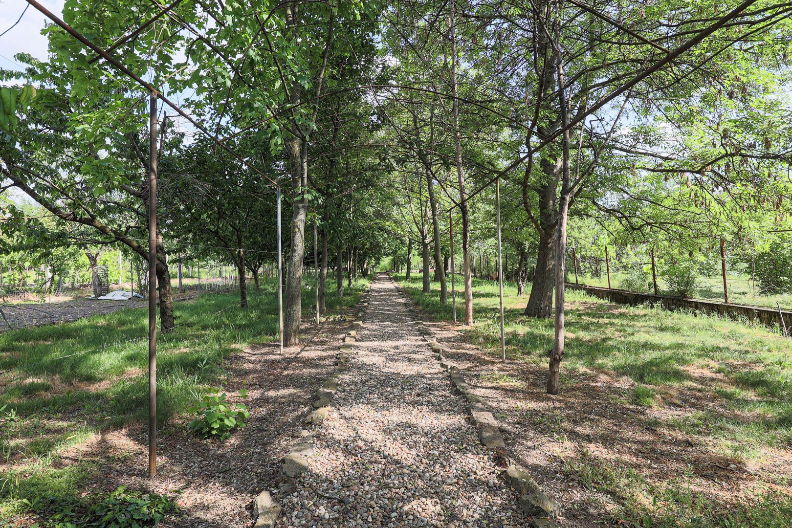 Vilă 5 camere Grădiște | 2 corpuri | 0% comision. Preț negociabil! - Poză 5