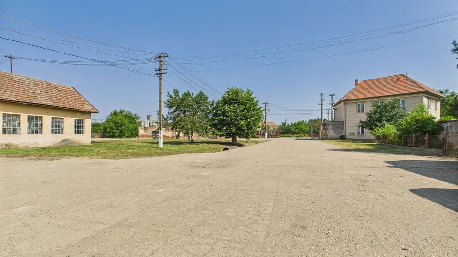 Complex industrial cu hale și teren  în Orțișoara - Poză 10