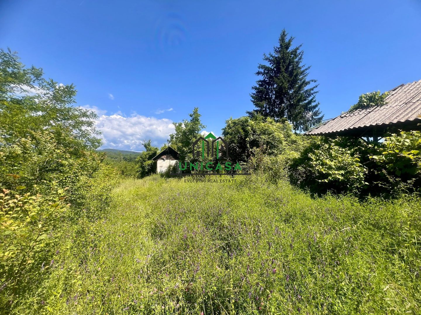 Teren intravilan de vânzare/Ocnele Mari/8.300 mp - Poză 2