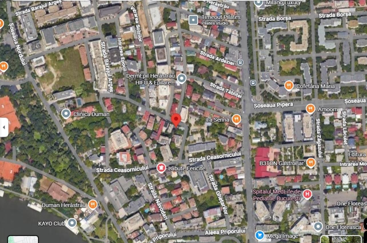 Teren Herastrau - Poză 7