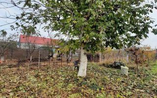 Casă individuală Plopi, 75 mp, teren 1.365 mp, 2 corpuri - Poză 4