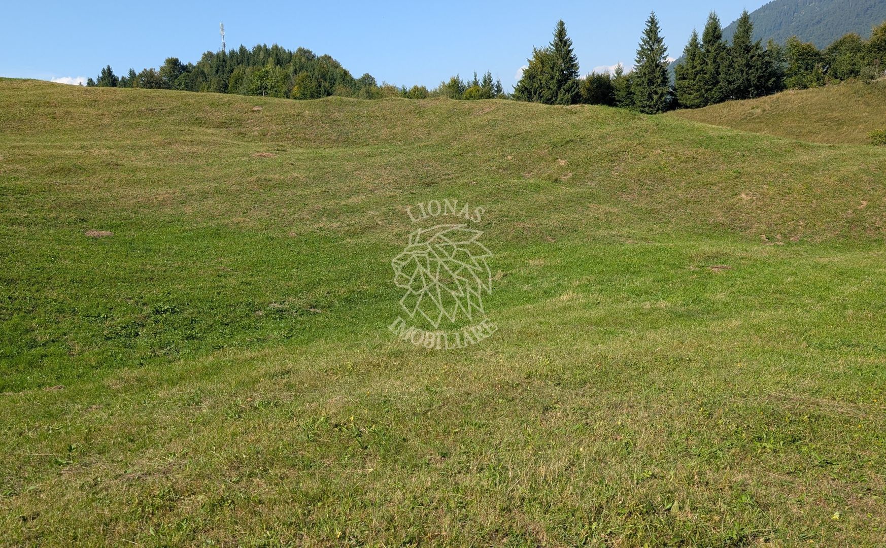 Oportunitate!Teren intravilan 61.38400mp-Parcelabil-utilitati-Colibita - Poză 6