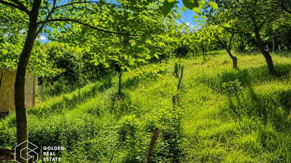 Teren intravilan, 1159 mp, localitatea Ghioroc - Poză 2