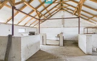 Hală pentru producție / fermă zootehnică  - Variaș - Poză 11