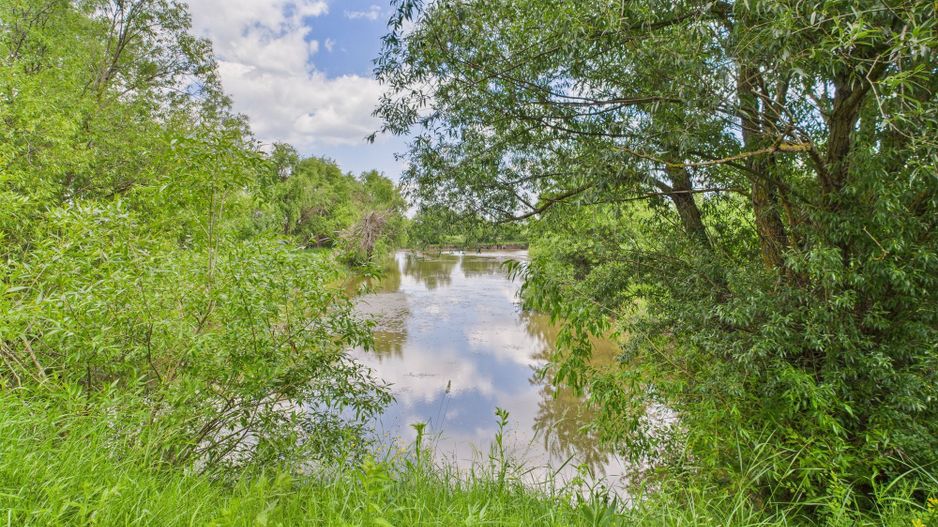 Teren cu baltă- oportunități multiple la Fibiș - Poză 13