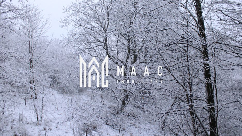 Teren cu izvor de apă minerală  Dangești, Punctul Valea Mare - Poză 35