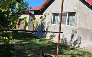 Casă 200 mp cu teren 2000 mp în zonă liniștită, Topile/Valea Seacă - Poză 3
