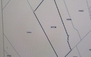 Teren Mogosoaia FRF - Poză 2