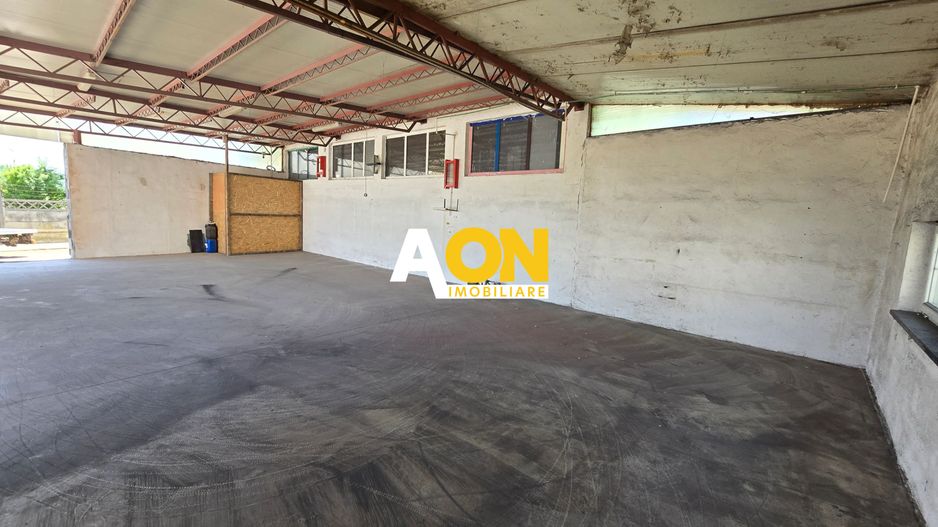 Spațiu Industrial, 280mp, Toate Utilitățile, Zona Carolina Mall - Poză 7