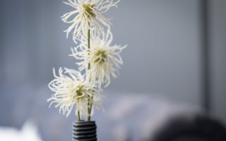 Apartament   4 camere - Poză 29