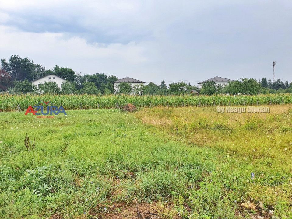 Vanzare Teren Racovita Intravilan - Poză 11