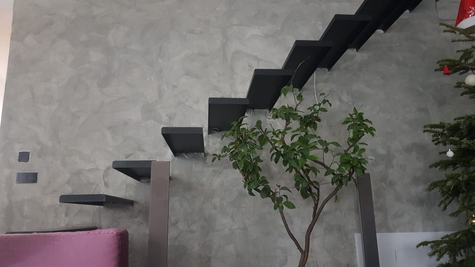 PROIECT MODERN  - Calea Aradului - Poză 4