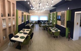 INVESTIȚIE - Complex agrement, teren 23.000 mp, VASLUI - IASI; - Poză 14