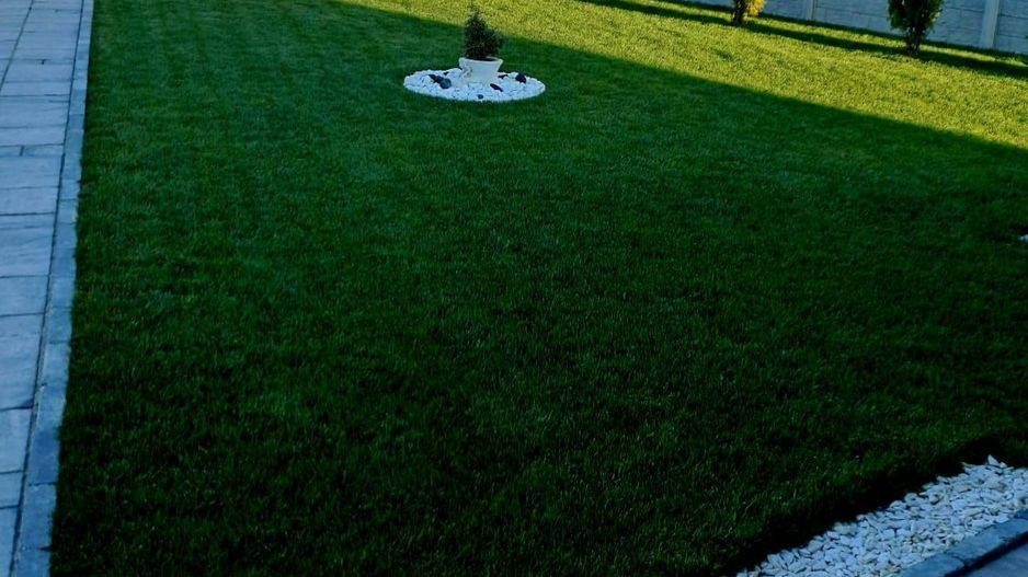 Comisiom 0% Vila 2022  teren 1000 mp Ciorogarla - Poză 35