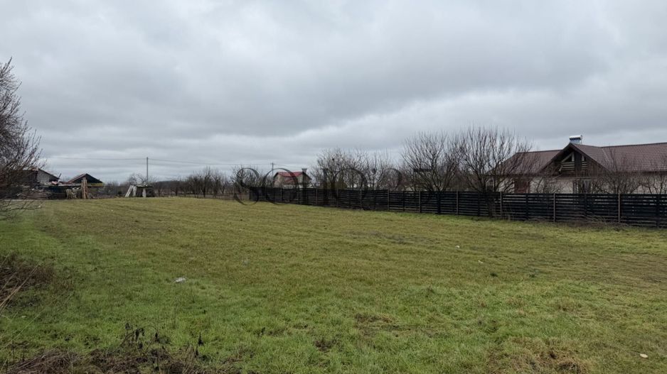 Teren de Vanzare Gradistea Sitaru - Poză 4