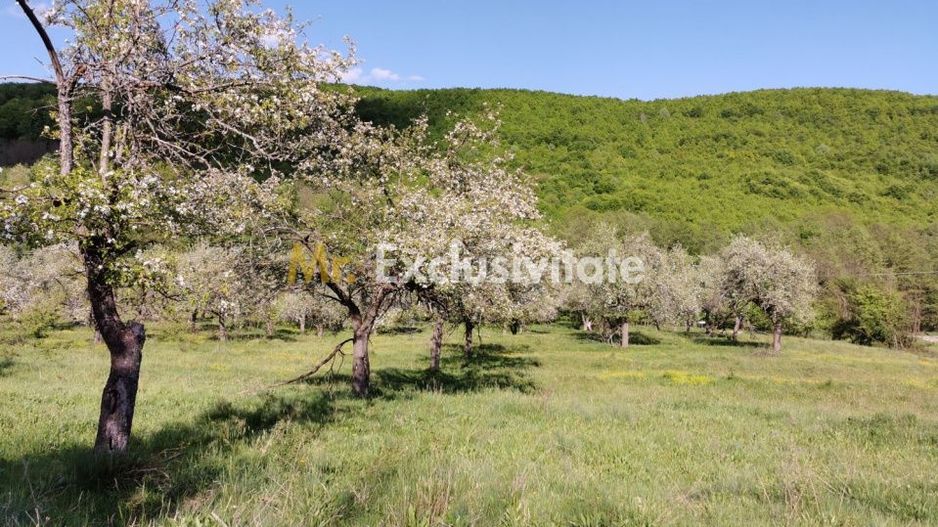 Teren 680mp Budeasa Mica, AG - Poză 7