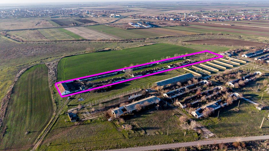 Teren 1.15 HA lângă Autostrada – Nădlac | clădiri+utilități - Poză 2