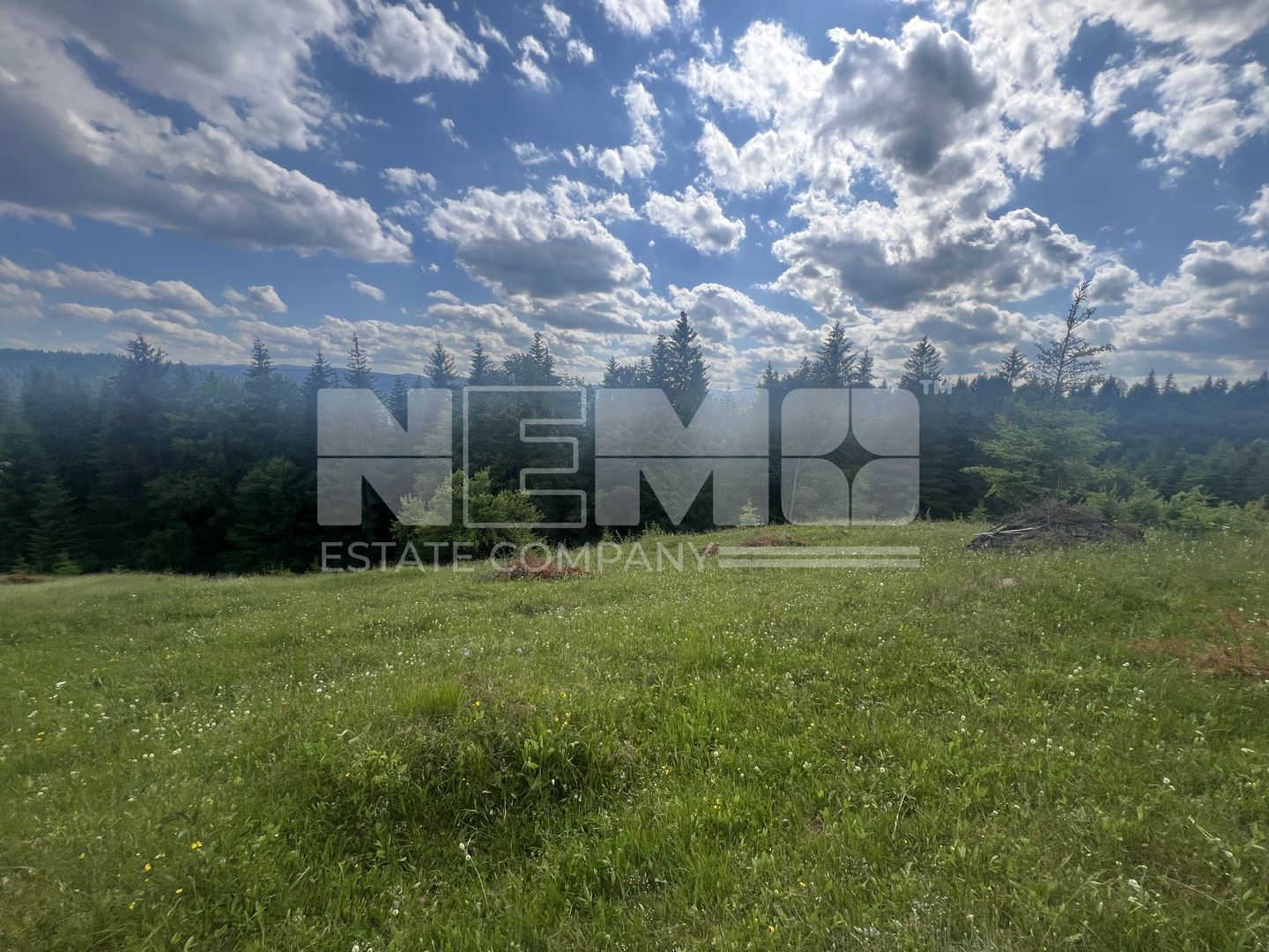 Teren Intravilan | Brodina de Jos | 16900 MP - Poză 4