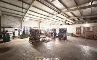 Hala industrială de vanzare Arad 540 mp, depozitare la rece, acces TIR - Poză 5