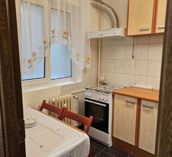 inchiriez apartament 1 camera Doamna Ghica - Poză 7