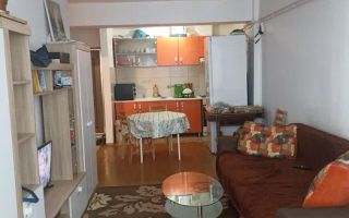 Apartament 2 Camere I Etaj 2 I Balcon I Doamna Stanca - Poză 1