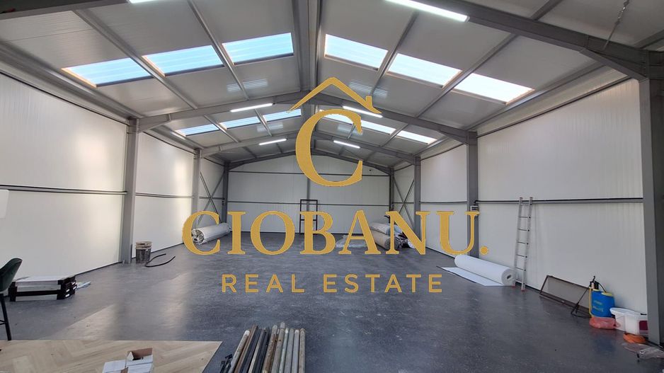 Hala de vanzare in Racarii de Jos - Poză 20