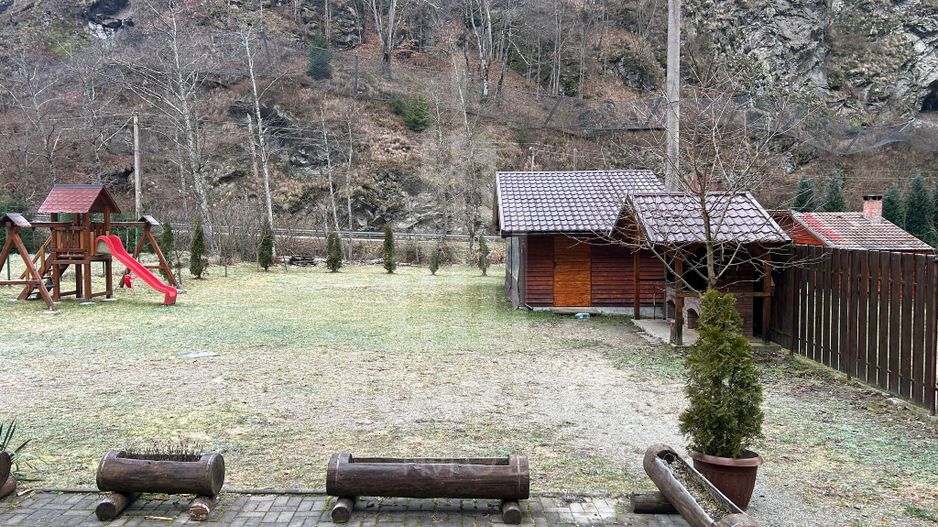 Casă de vacanță în Râu Sadului - Poză 16
